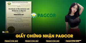 Giấy Phép Pagcor: Bảo chứng uy tín nhà cái FB88