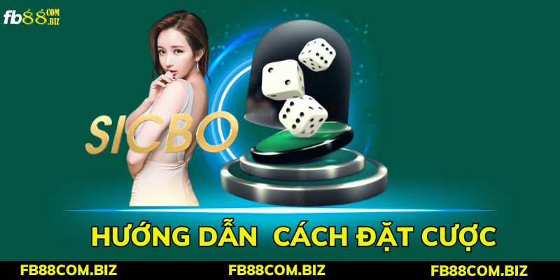 Những cửa cược chính trong Sicbo mà bạn có thể chọn 