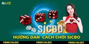 Hướng Dẫn Cách Chơi Sicbo - Chiến Thắng Nhà Cái